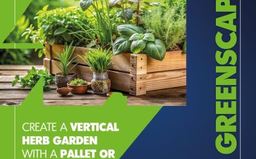 515282782_1267604631827722_4333781365805785862_n