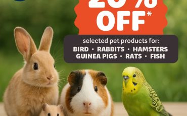 533115315_1178333880987407_64863893444694566_n